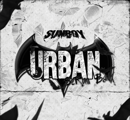 Sunboy Urban Serum Bank Synth Presets